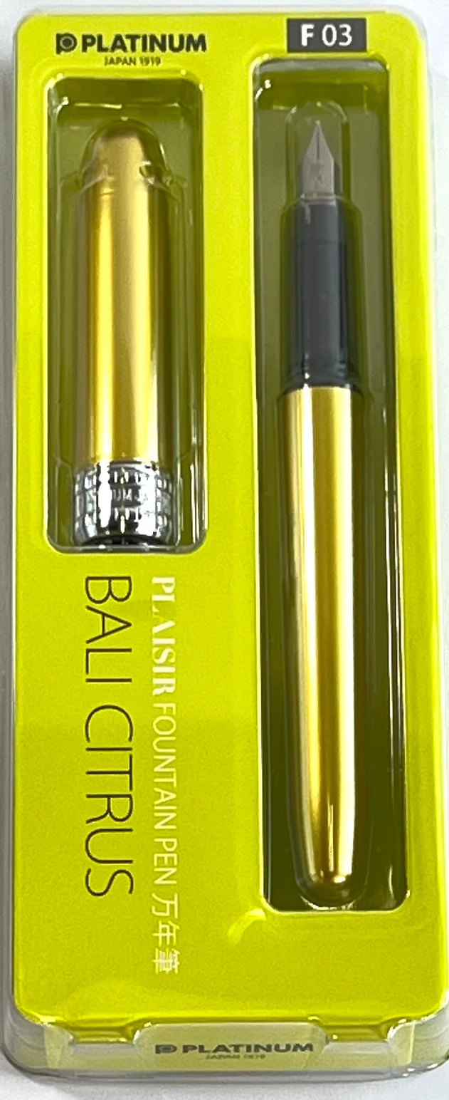 Platinum Plaisir Fountain Pen Packaged - Image 3